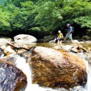 아트민박펜션 이미지