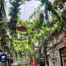 차고치는 집 | [상하이 4박5일] 여행 3일차 우캉맨션, 예원 사진...총정리/ 예상하이, 하프어드링크 웨이팅 및 후기