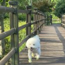 기운내 동물병원 이미지