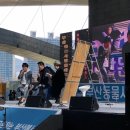 펫시(petsee) 이미지