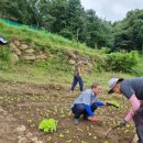 아멘농장 이미지