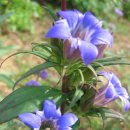 용담초교 이미지