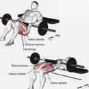 애플힙 짐 이미지