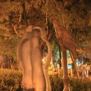 우장산공원 이미지