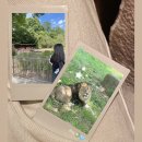 다사자 - 김포시 | 조제, 사자 그리고 물고기들🦁 (in 서울대공원동물원,사자카페 후기)