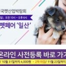 뽀떼나