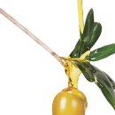 올리브(OLIVE) 이미지