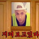 별빛백도 이미지