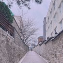 🌻엄마친구아들1년이 다 되어가 촬영지를 다시 한번 음미해 봅니다.🥰🤗 이미지