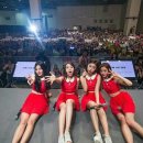 마직