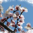 성당동제3경로당 이미지