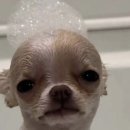 경기도 수원시 팔달구 갓매산로55번길 이미지