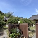 오릉 | 경주 숙소 추천 단체로 오기좋은 한옥팬션 오릉도원 독채/자쿠지 이용후기
