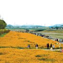 황룡강변2 이미지