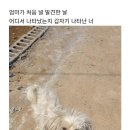 600059 이미지