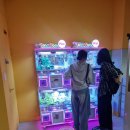 럭키오락실 이미지