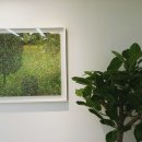 닥터봉의원 이미지