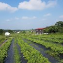 재호농장 이미지