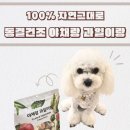 야채랑과일이랑 | [내돈내산] 강아지 동결건조 간식 🍎 야채랑 과일이랑 루비의 건강한 먹방 후기 🥗