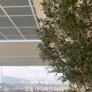 태백공인중개사사무소 이미지
