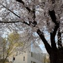 디자인크레스트