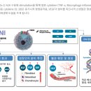 잠실미소약국 네이버블로그