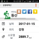 태백수산 Daum카페
