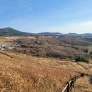 새별오름 이미지