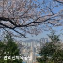 만리산 | 부산 벚꽃명소 만리산체육공원 숨은 벚꽃 맛집