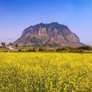 CU(성산점) 이미지