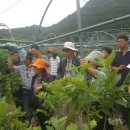 이병일농장 이미지