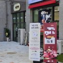 귀엽꾸멍 | 스트레스 없는 동탄애견미용 귀엽꾸멍 클리핑 얼굴컷 후기
