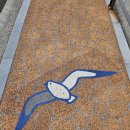 비렁 | 블랙야크 100대 명산 금오도 매봉산 산행 후기