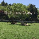 나폴리회식당 이미지