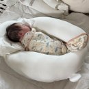 티앤지 | D+30 신생아 당근 추천템 총정리｜내돈내산 한달 후기