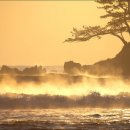 일출로3 이미지