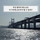부산 광안리 요트투어 위드요트 아이랑 주말 나들이 가성비 예약
