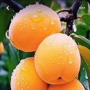 아현실버복지관 이미지