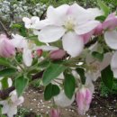 우리집농장 이미지