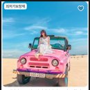 스타인목장 네이버블로그