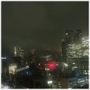 초록담기 | 비 오는 날 도쿄 여행 산책, 거리 풍경 담기 ☔️