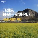 장평체육공원 이미지