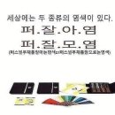 세시헤어 네이버블로그