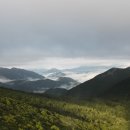 하이원콘도미니엄 이미지