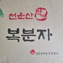 🍷 전통주 선물세트 추천! 고급스럽고 깊은 맛, 고창 복분자주 리뷰