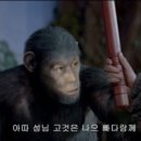 호성 - 고흥군 | 호성