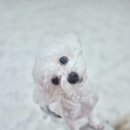 개스트룸 이미지