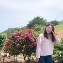 남해군미조면가인포보건진료소 | 남해) 카르페디엠 [에어비앤비]