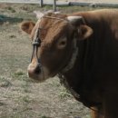 리마인드PT 이미지