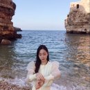 렌트bari 이미지